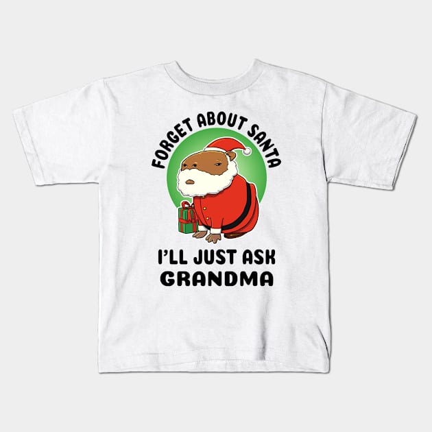 Forget about Santa I'll just ask Grandma Capybara Santa Kids T-Shirt by capydays